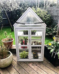 Kitchen Joy Indoor Greenhouse - Green Houses for Outside, Mini Greenhouse Kit, Small Green House, from Our Greenhouses for Outdoors Collection