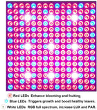 GardGuard LED Grow Light Indoor Plant Lights Full Spectrum 75W Panel Grow Lamp with Timer for Seeds, Vegetables and Flowers (2 Pack)