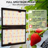 WAKYME J-2000W LED Grow Light Dimmable, 4x4ft Sunlike Full Spectrum Grow Lamp with MeanWell Driver, Waterproof Plant Light with Fan for Hydroponic Indoor Seedling Greenhouse Growing Light (700pcs LED)